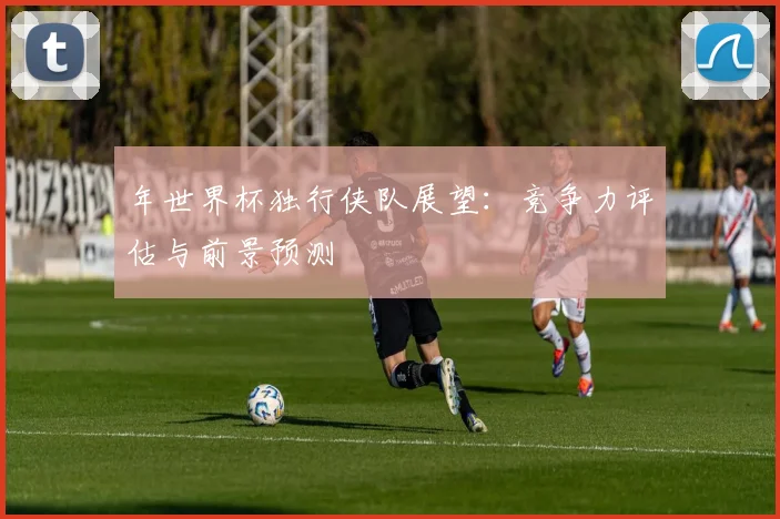 年世界杯独行侠队展望:竞争力评估与前景预测