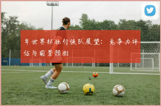 年世界杯独行侠队展望：竞争力评估与前景预测