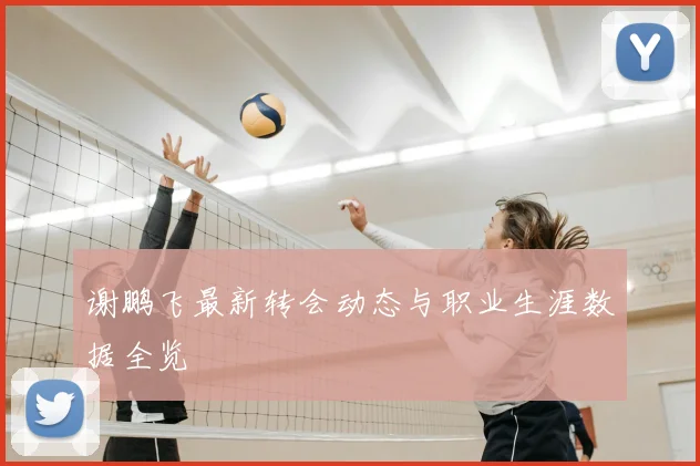 谢鹏飞最新转会动态与职业生涯数据全览
